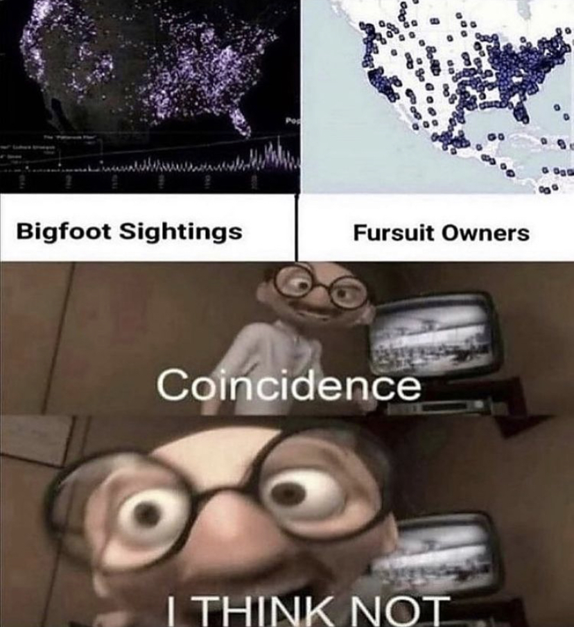 foreshadowing memes - Bigfoot Sightings Fursuit Owners Coincidence I Think Not