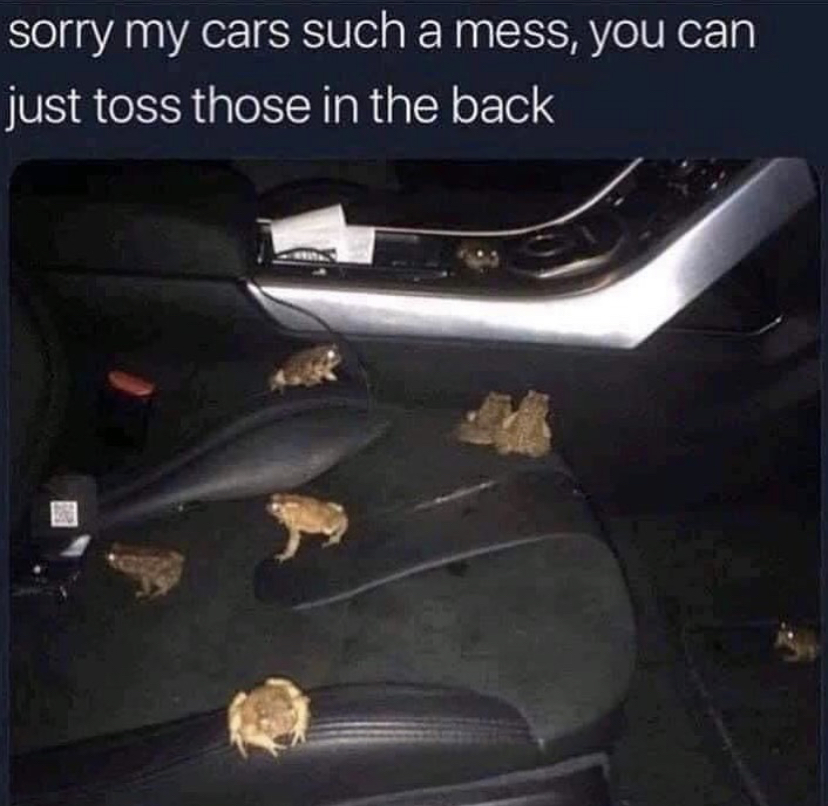 toss those in the back meme - sorry my cars such a mess, you can just toss those in the back