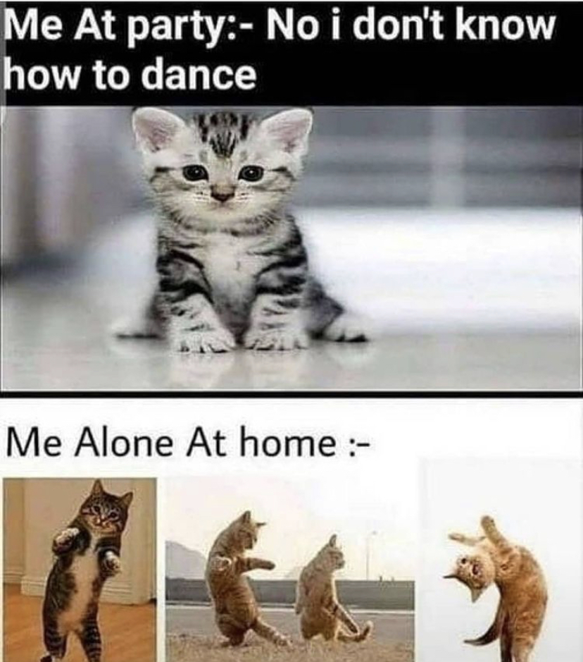 funny mrx memes - Me At party No i don't know how to dance Me Alone At home