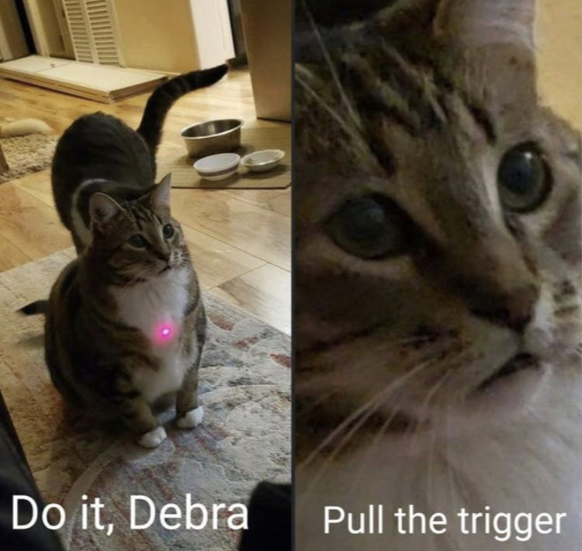pull model - Do it, Debra Pull the trigger