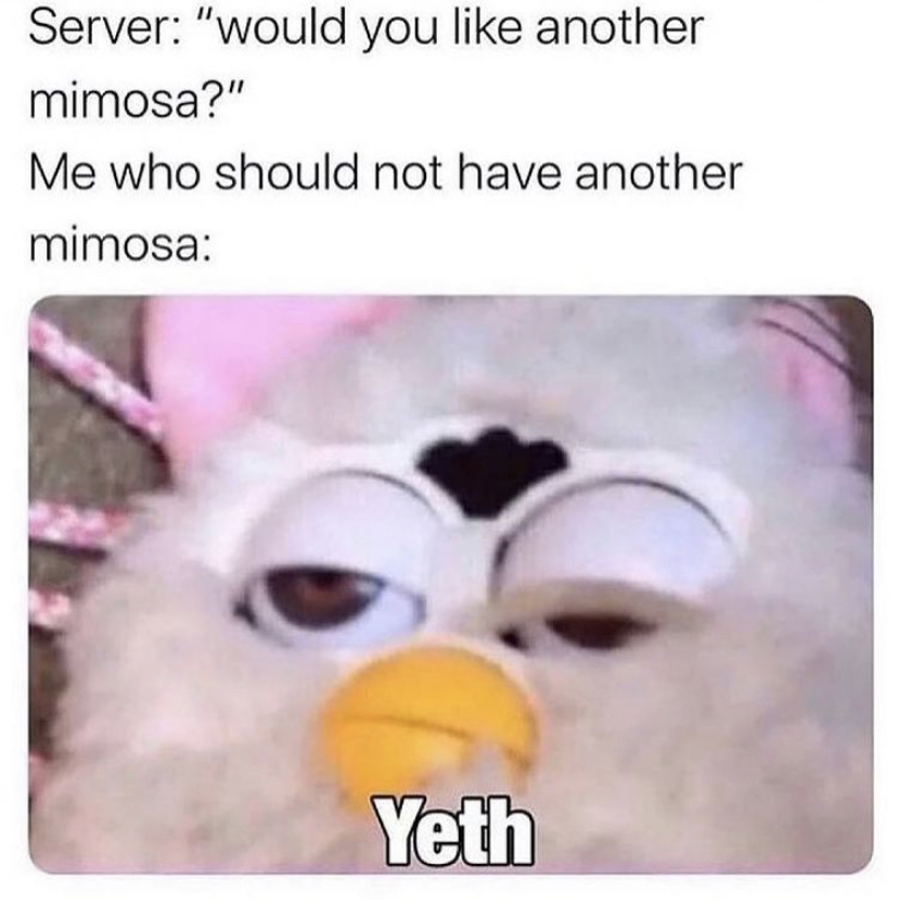 furby meme - Server "would you another mimosa?" Me who should not have another mimosa Yeth