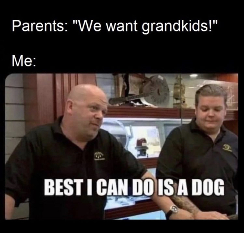 best i can do is 5 meme - Parents "We want grandkids!" Me Best I Can Do Is A Dog