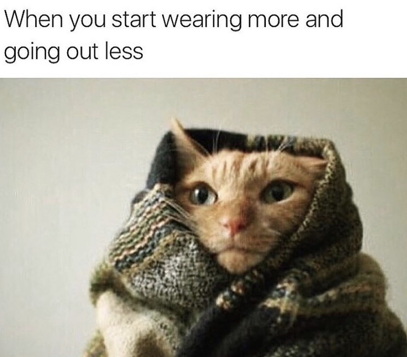humans that look like cats - When you start wearing more and going out less