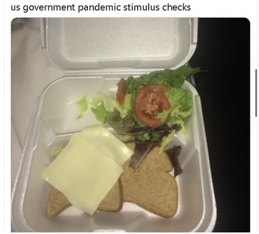 fyre festival - us government pandemic stimulus checks