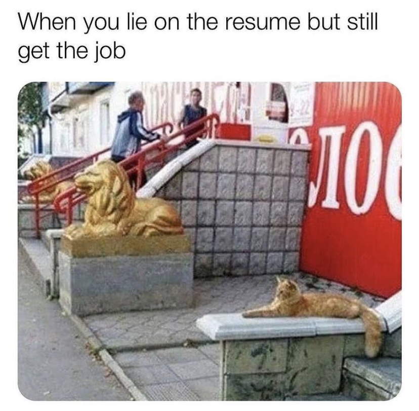 you lie on your resume and still get the job - When you lie on the resume but still get the job 0,100
