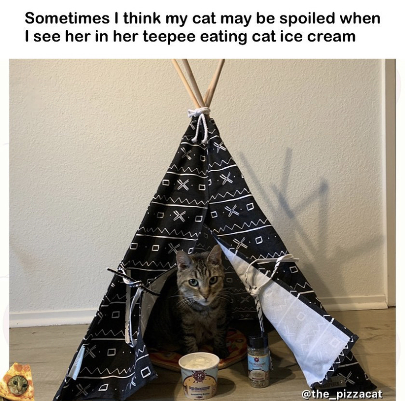 christmas tree - Sometimes I think my cat may be spoiled when I see her in her teepee eating cat ice cream W U