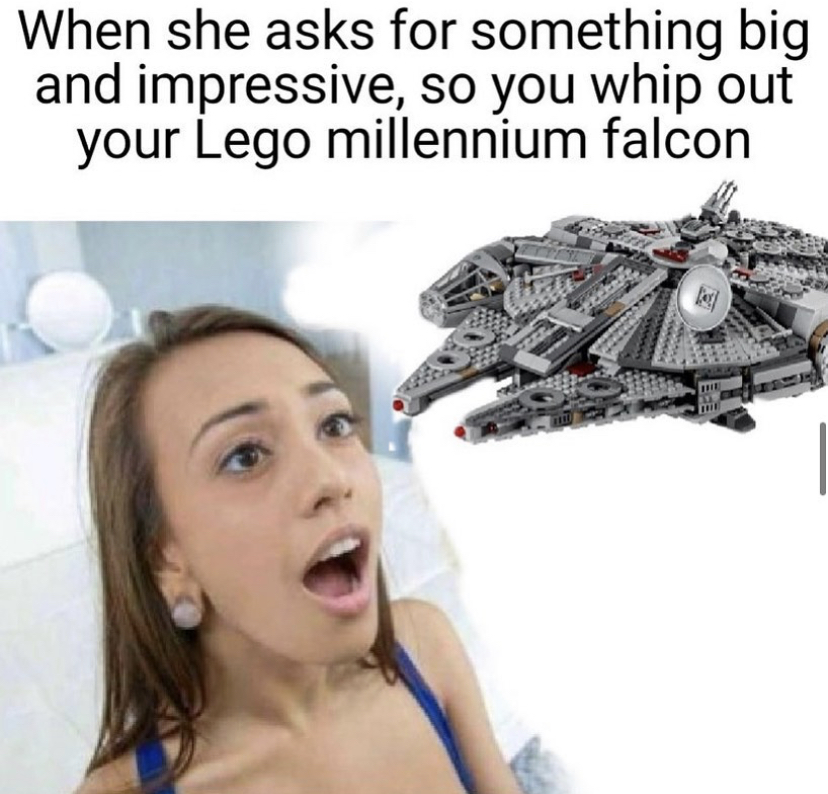she sees your pet llama girl - When she asks for something big and impressive, so you whip out your Lego millennium falcon