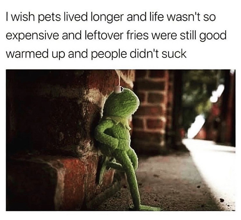 how's life meme - I wish pets lived longer and life wasn't so expensive and leftover fries were still good warmed up and people didn't suck