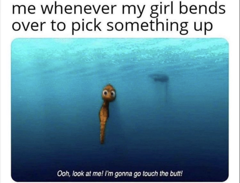 finding nemo touch the butt - me whenever my girl bends over to pick something up Ooh, look at me! I'm gonna go touch the butt!