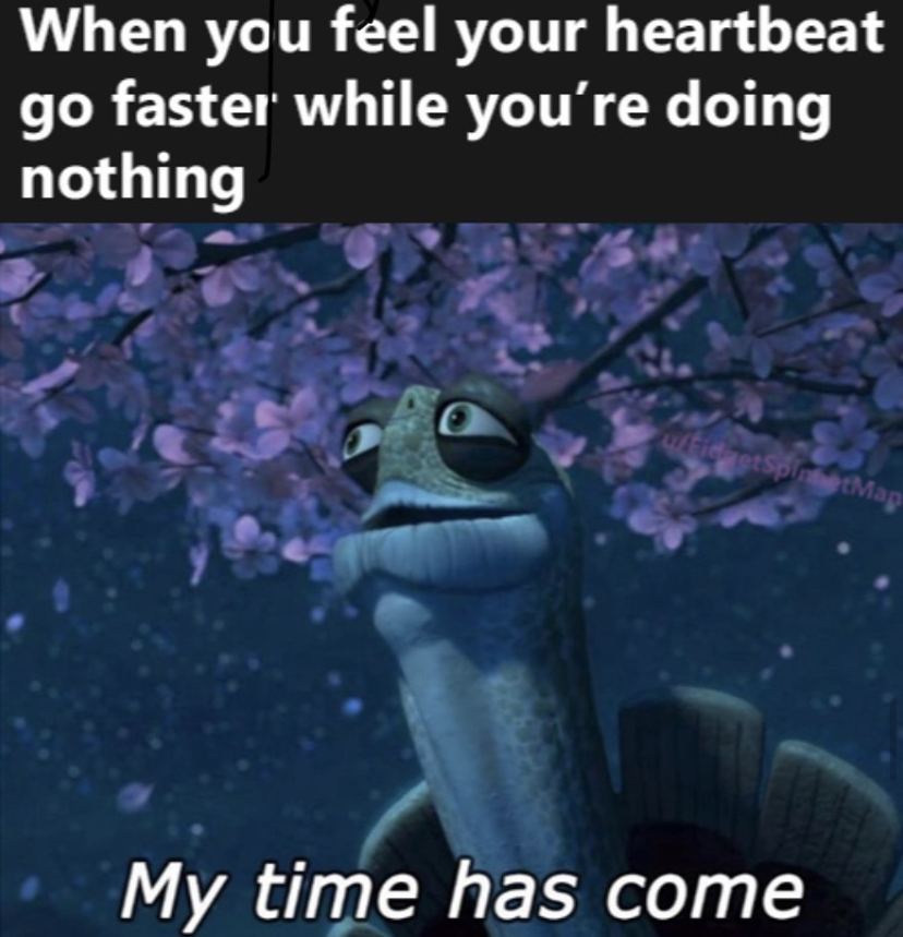 kung fu panda oogway meme - When you feel your heartbeat go faster while you're doing nothing Mag My time has come