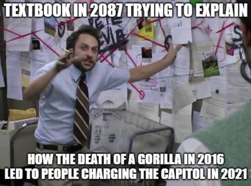 pepe silvia - Textbook In 2087 Trying To Explain How The Death Of A Gorilla In 2016 Led To People Charging The Capitol In 2021
