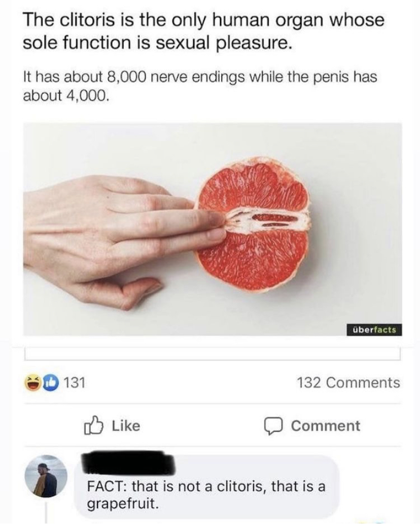 Vagina - The clitoris is the only human organ whose sole function is sexual pleasure. It has about 8,000 nerve endings while the penis has about 4,000. berfacts 131 132 Comment Fact that is not a clitoris, that is a grapefruit.