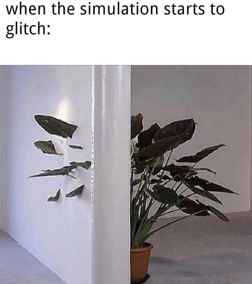 plant through wall - when the simulation starts to glitch