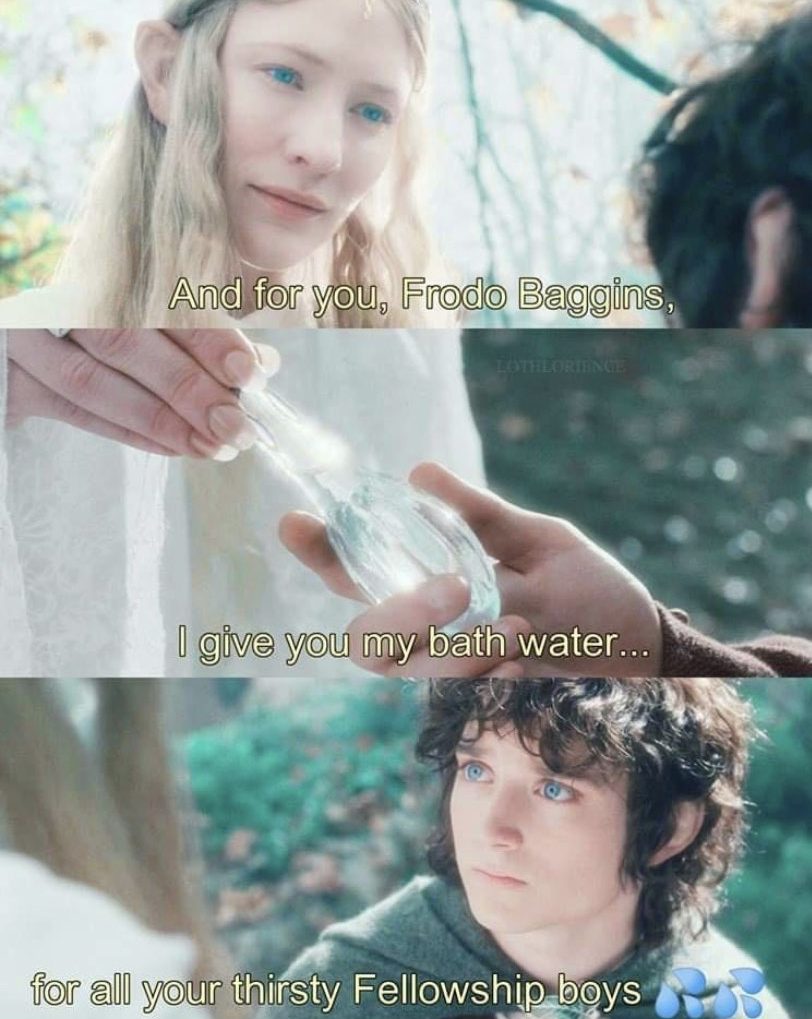 lighter memes - And for you, Frodo Baggins, I give you my bath water... for all your thirsty Fellowship boys