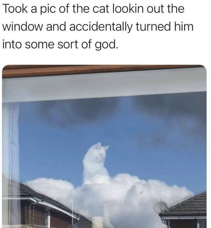 cat in the clouds - Took a pic of the cat lookin out the window and accidentally turned him into some sort of god.