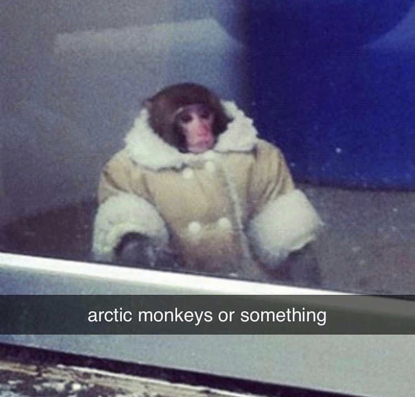 monkey at ikea - arctic monkeys or something