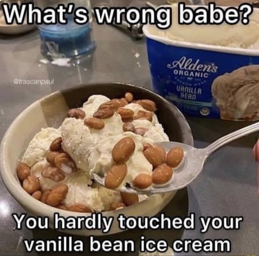 vanilla bean ice cream meme - What's wrong babe? Alden's Organic atrascanpaul Vanilla Bean You hardly touched your vanilla bean ice cream