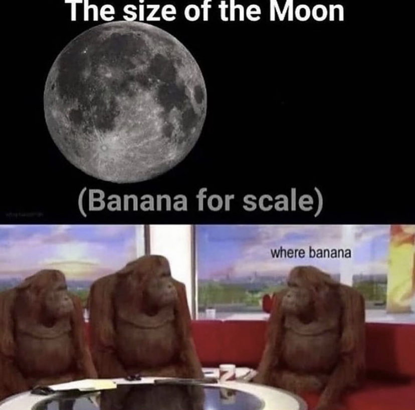 size of the moon banana for scale - The size of the Moon Banana for scale where banana