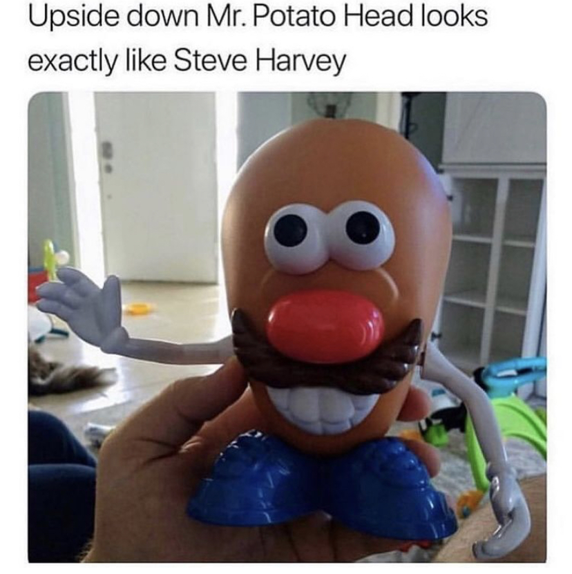 mr potato head and steve harvey - Upside down Mr. Potato Head looks exactly Steve Harvey