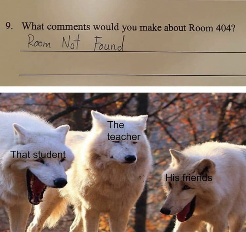 laughing wolves meme template - 9. What would you make about Room 404? Room Not Found The teacher That student His friends