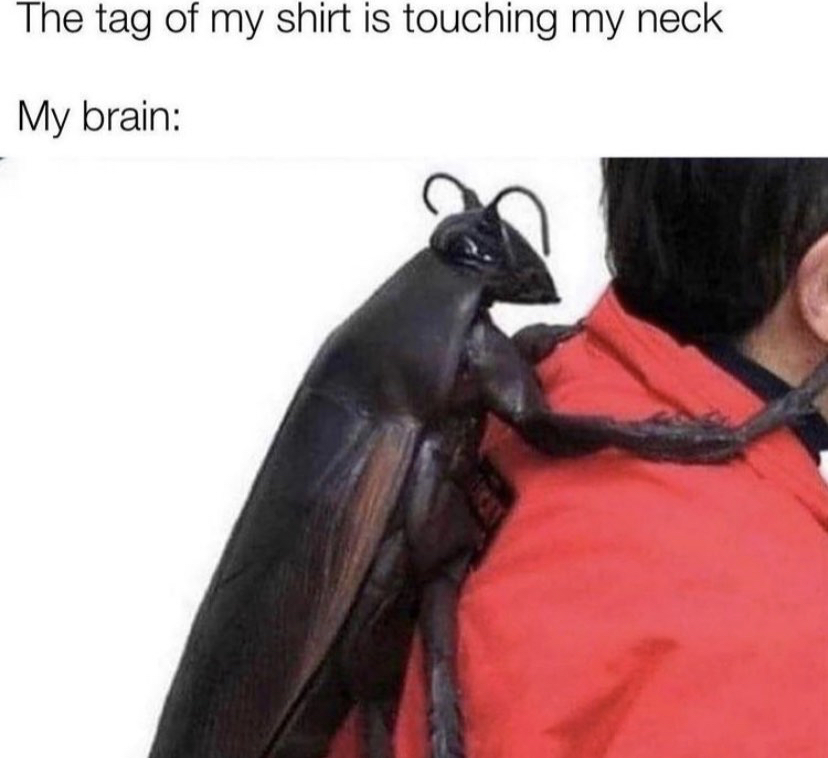 cockroach backpack - The tag of my shirt is touching my neck My brain