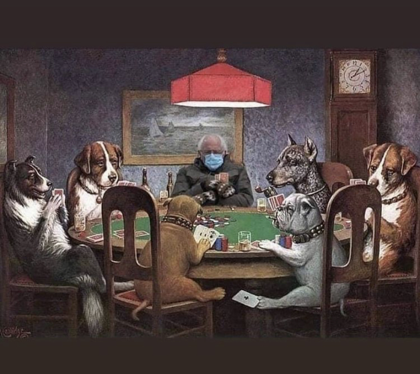 dogs playing poker - P