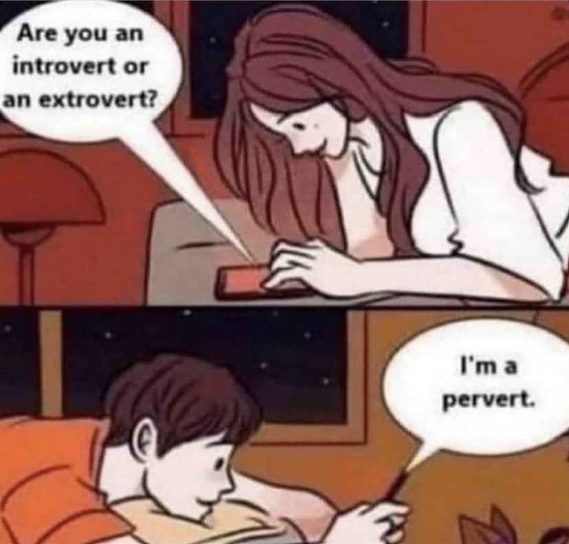 Are you an introvert or an extrovert? I'm a pervert.