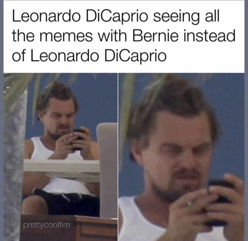 meme leonardo dicaprio - Leonardo DiCaprio seeing all the memes with Bernie instead of Leonardo DiCaprio prettycooltim