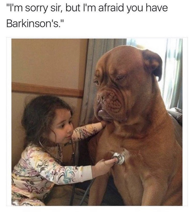 funny baby animal memes for kids - "I'm sorry sir, but I'm afraid you have Barkinson's."