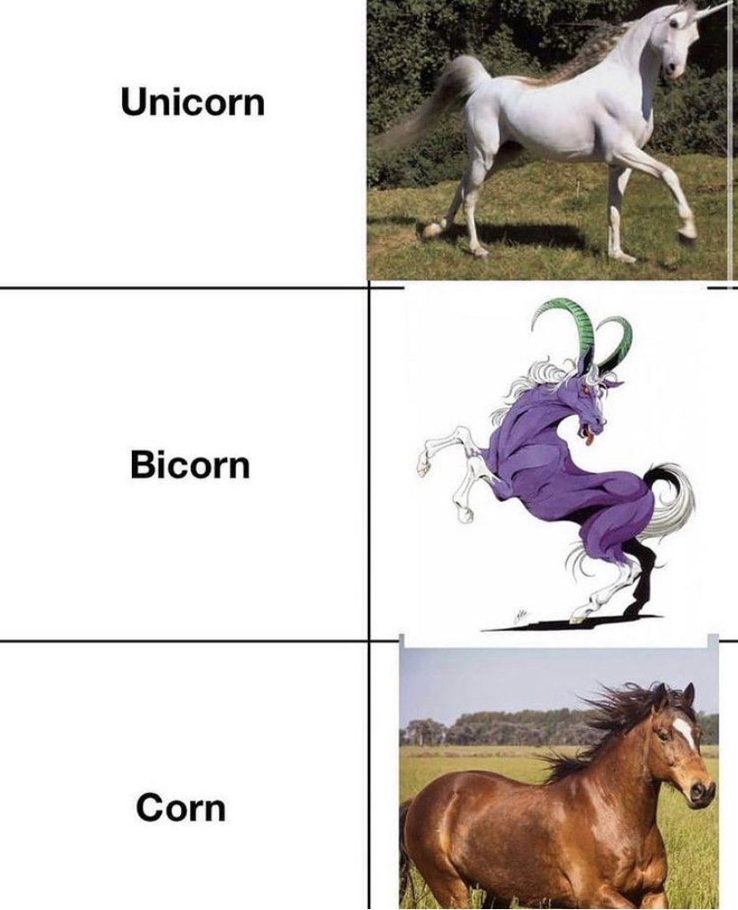 unicorn bicorn corn - Unicorn Bicorn Corn