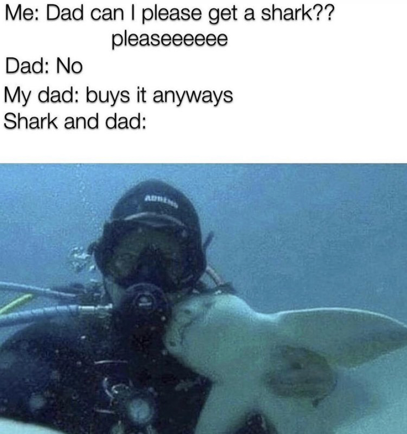 underwater - Me Dad can I please get a shark?? pleaseeeeee Dad No My dad buys it anyways Shark and dad
