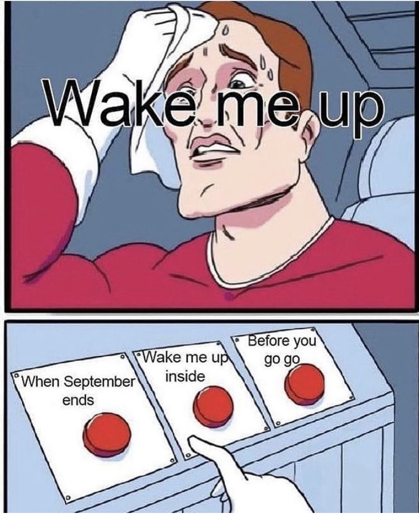 wake me up when meme - Wake me up Before you Wake me up go go When September inside ends
