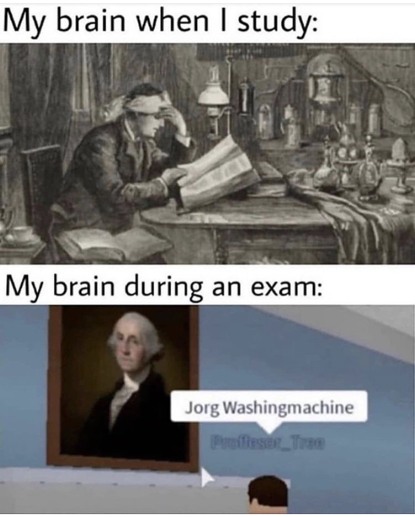history exam memes - My brain when I study My brain during an exam Jorg Washingmachine Tree