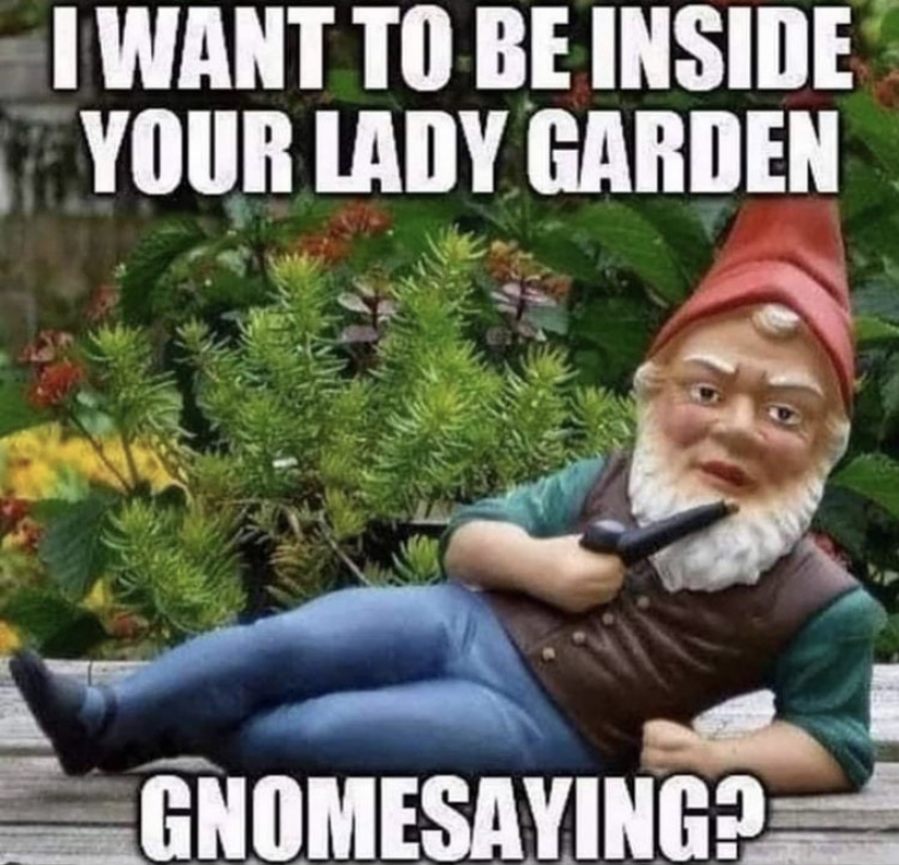 happy belated birthday meme - I Want To Be Inside Your Lady Garden Gnomesaying?