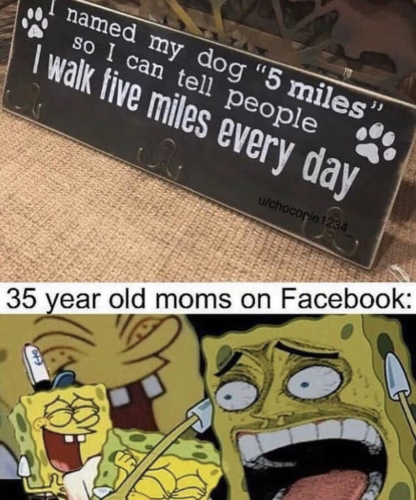 minion memes dank - named my dog "5 miles so I can tell people I walk live miles every day wchocoria1234 35 year old moms on Facebook