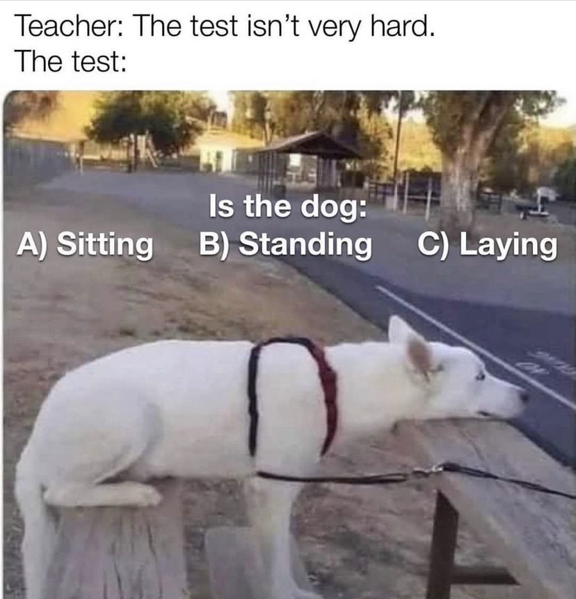savage memes - dog sitting standing or lying - Teacher The test isn't very hard. The test Is the dog Standing A Sitting B B Standing C Laying