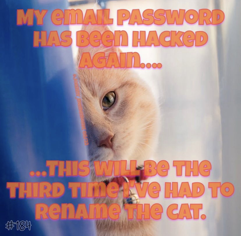 savage memes - photo caption - My Email Password Has Been Hacked Again.... ...This Will Be The Third Time ve Had To Rename The Cat.