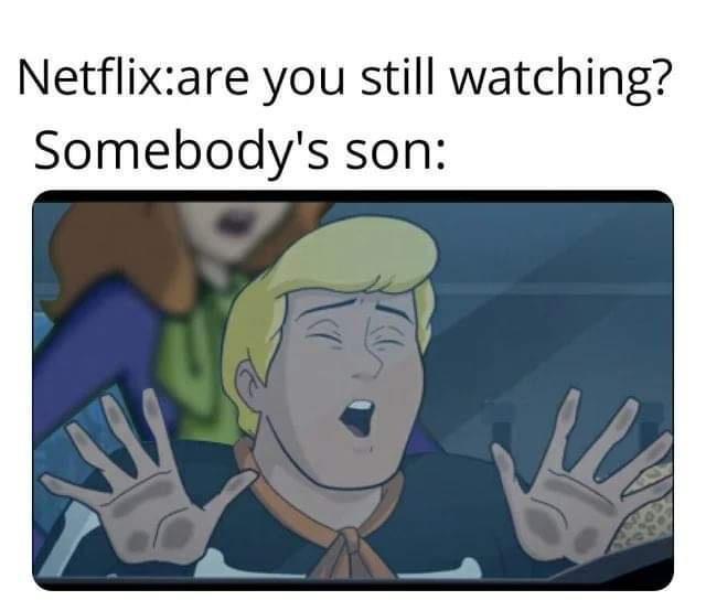 funny memes - pegging memes - Netflixare you still watching? Somebody's son