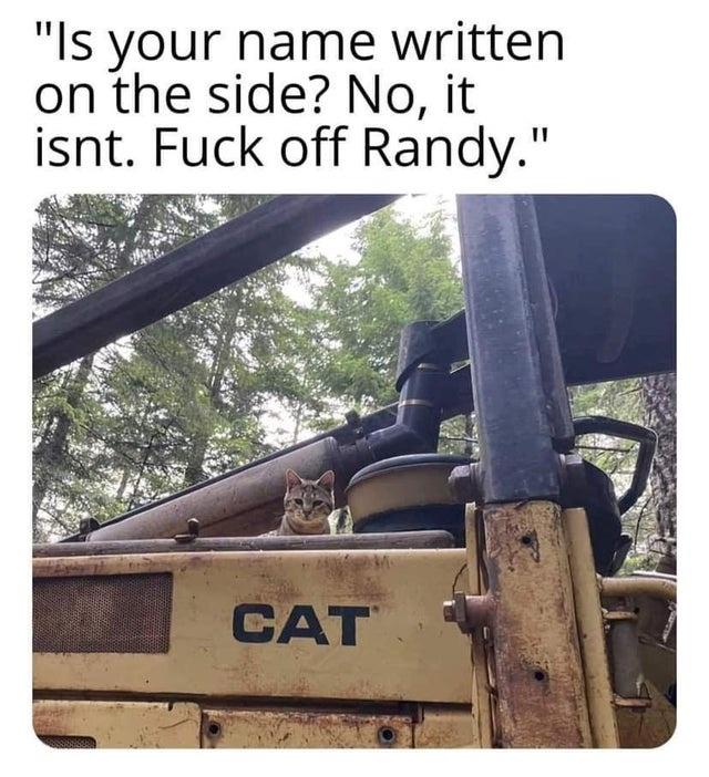 funny memes - iron - "Is your name written on the side? No, it isnt. Fuck off Randy." Cat