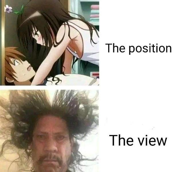 funny memes - position the view meme - 14 The position The view
