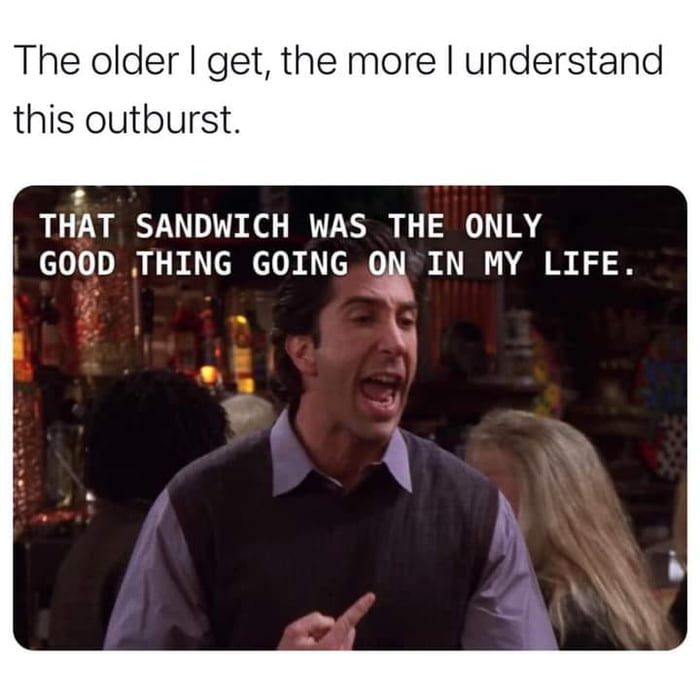 dank memes - funny memes - memes for friends - The older I get, the more I understand this outburst. That Sandwich Was The Only Good Thing Going On In My Life.