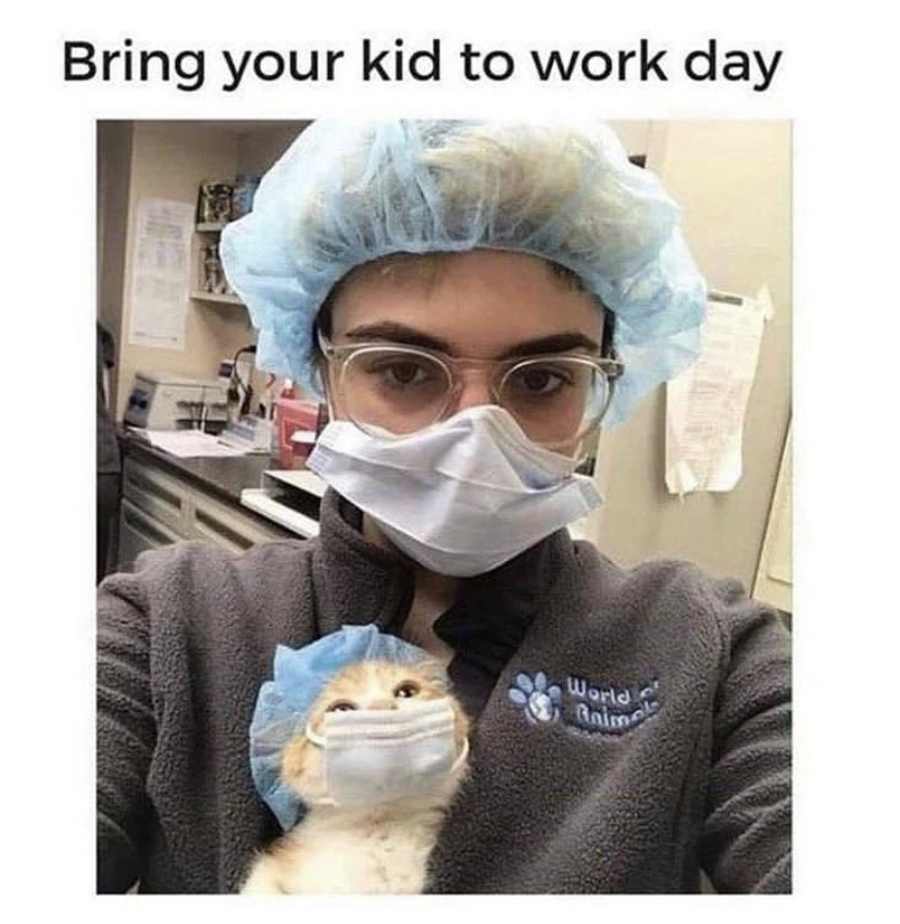 dank memes - funny memes - take your child to work day memes - Bring your kid to work day World Anime