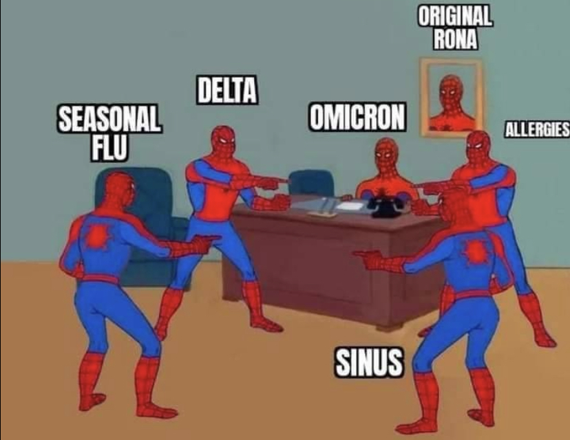 dank memes - funny memes - meme spiderman covid - Seasonal Flu Delta Omicron Sinus Original Rona Allergies