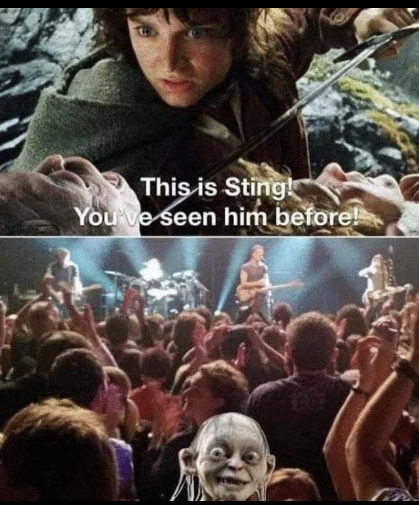 dank memes - funny memes - lord of the rings memes - This is Sting! You've seen him before!