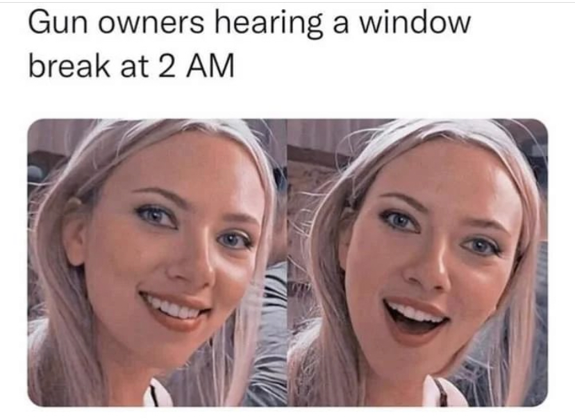 funny memes and pics - garen lux meme - Gun owners hearing a window break at 2 Am 9485