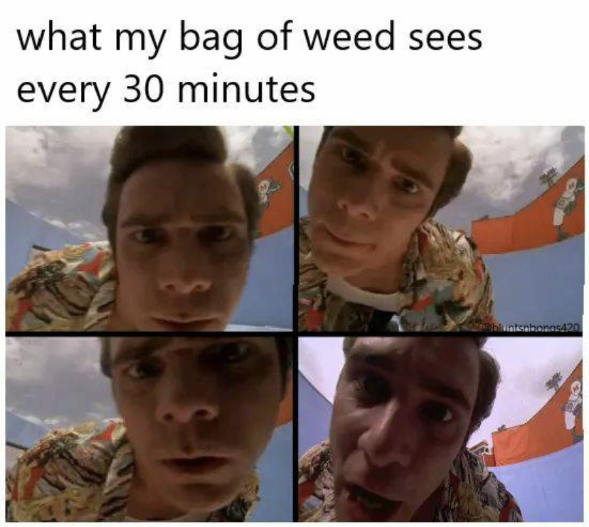 funny memes and pics - photo caption - what my bag of weed sees every 30 minutes