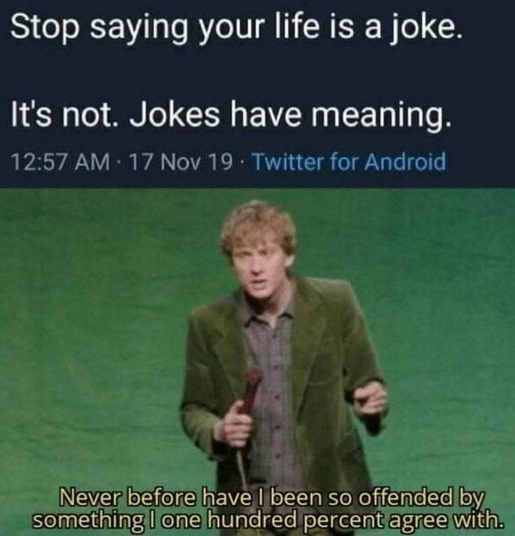 funny memes and pics - offending memes - Stop saying your life is a joke. It's not. Jokes have meaning. 17 Nov 19 Twitter for Android Never before have I been so offended by something I one hundred percent agree with.