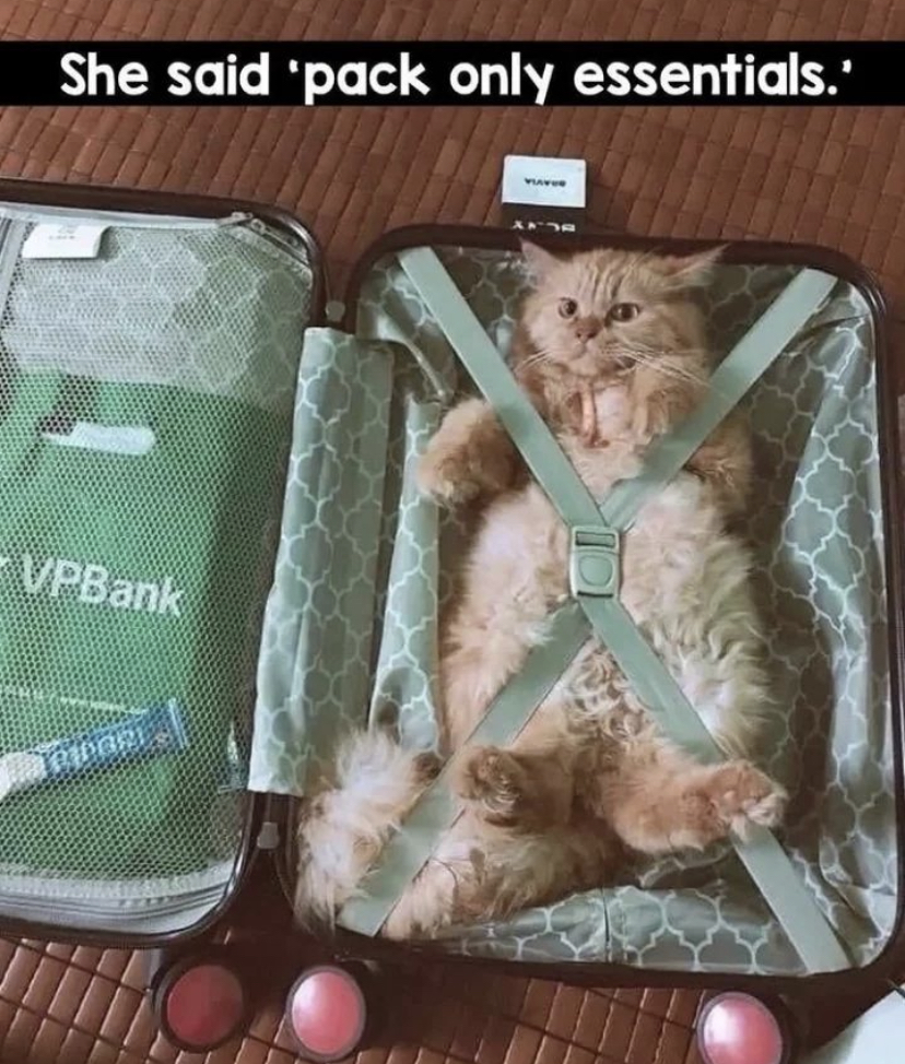She said 'pack only essentials.' VPBank Maridori.