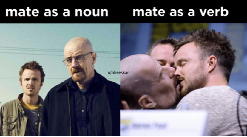 funny memes - breaking bad gay sex - mate as a noun uabeeskar mate as a verb