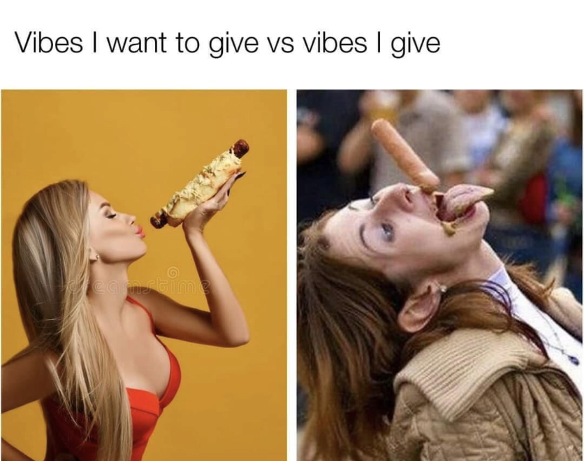 dank memes - perfectly timed - Vibes I want to give vs vibes I give camstime
